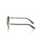 Aviator Model Eyeglasses. Metal Profile In Gold Color And Havana Rod. Smoked Lens.