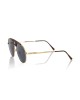 Sunglasses Shield Model. Metal Profile And Central Rod Havana. Black Smoked Lens.