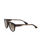 Wayfarer Model Sunglasses. Havana Frame And Shaded Champagne Lens.