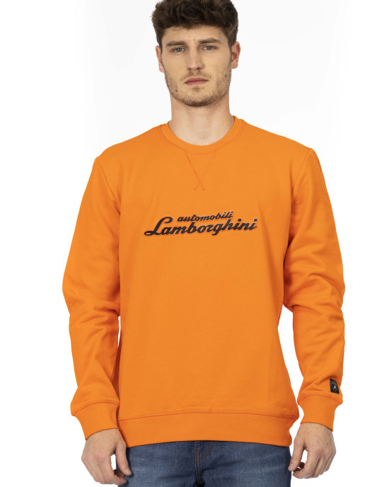 Crewneck Sweatshirt. Front Print. Logo Insert On The Sleeve.