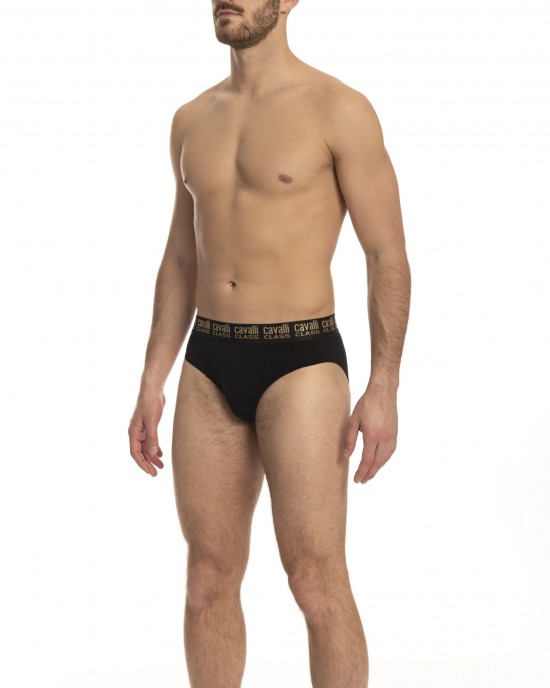 Briefs Bi-pack. Logo Band.