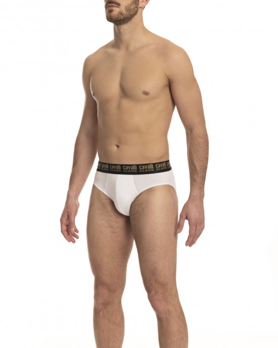 Briefs Bi-pack. Logo Band.